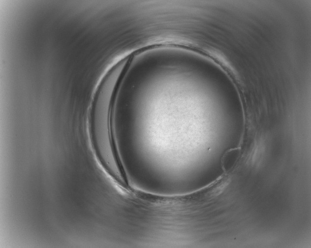 X0000067871040200604131231