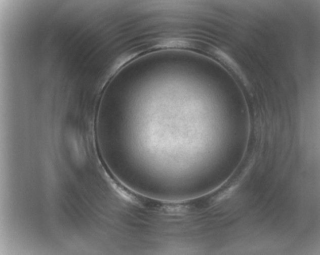 X0000067871041200604131231