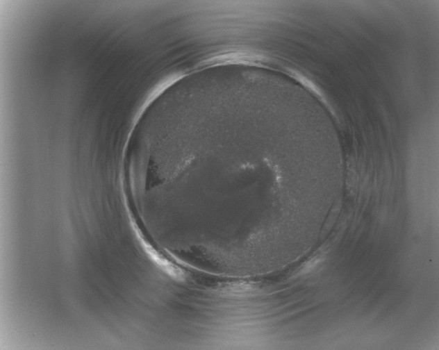 X0000067871042200604131231