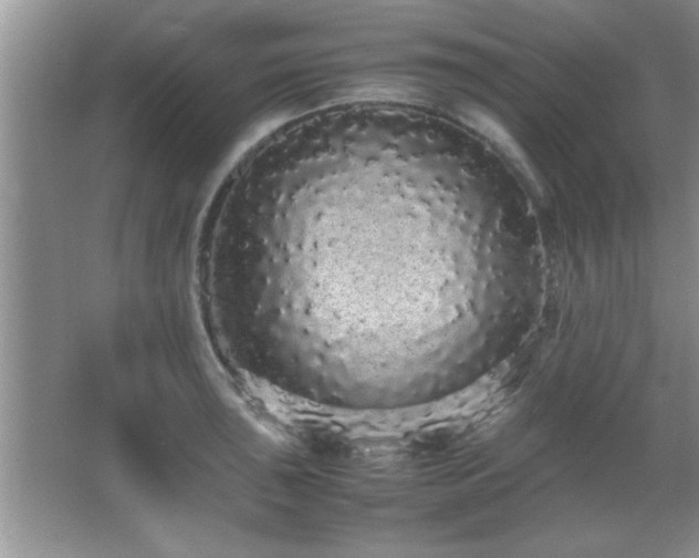 X0000067871043200604131231