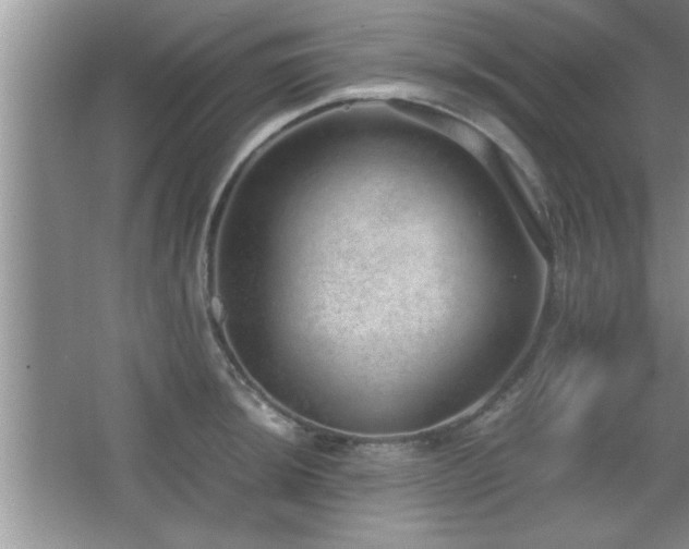 X0000067871044200604131231