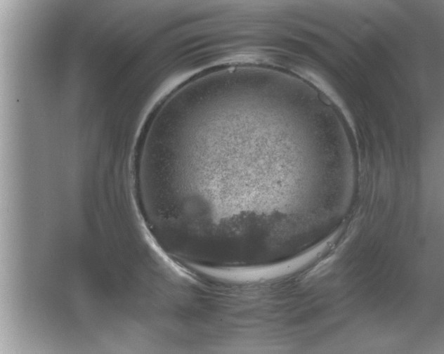 X0000067871045200604131231