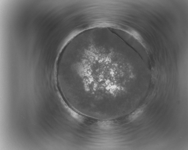 X0000067871046200604131231