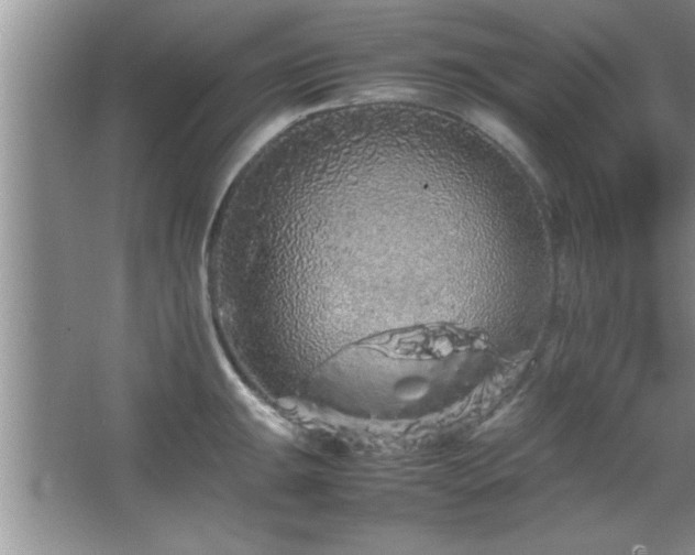 X0000067871047200604131231