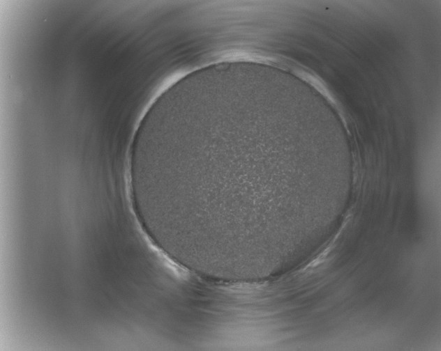 X0000067871048200604131231