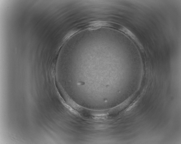 X0000067871049200604131231