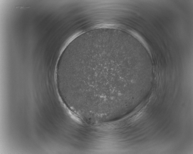 X0000067871050200604131231