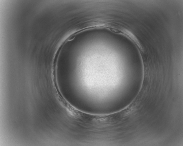 X0000067871051200604131231