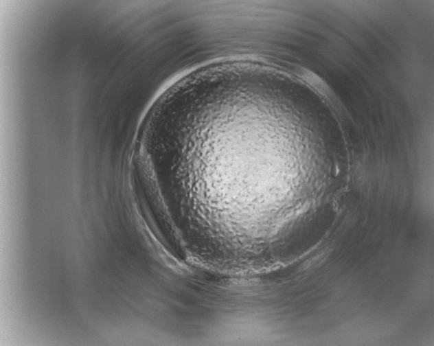 X0000067871052200604131231