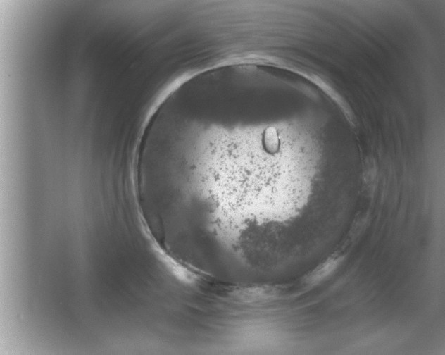 X0000067871054200604131231