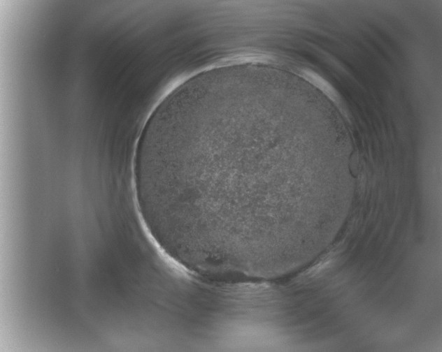 X0000067871055200604131231