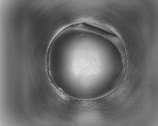 X0000067871056200604131231