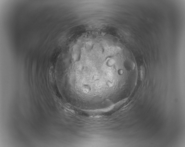 X0000067871059200604131230