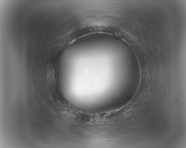 X0000067871061200604131230