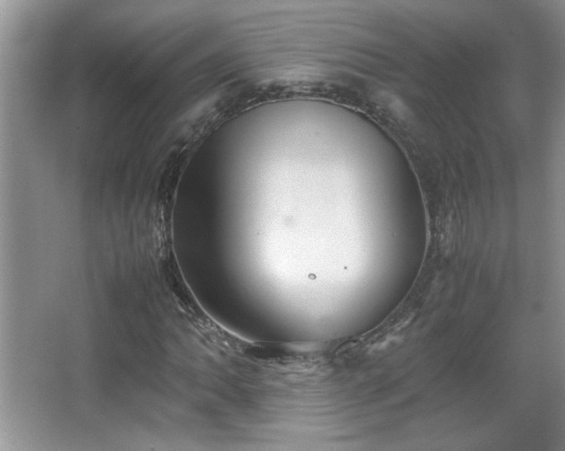 X0000067871062200604131230