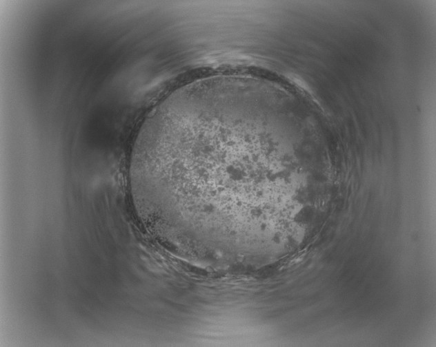 X0000067871063200604131230