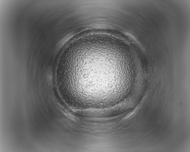 X0000067871065200604131230