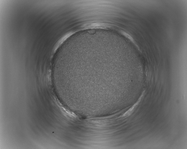 X0000067871066200604131230