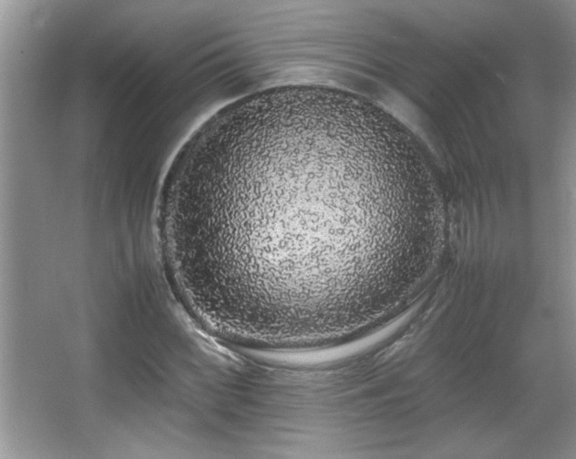 X0000067871068200604131230