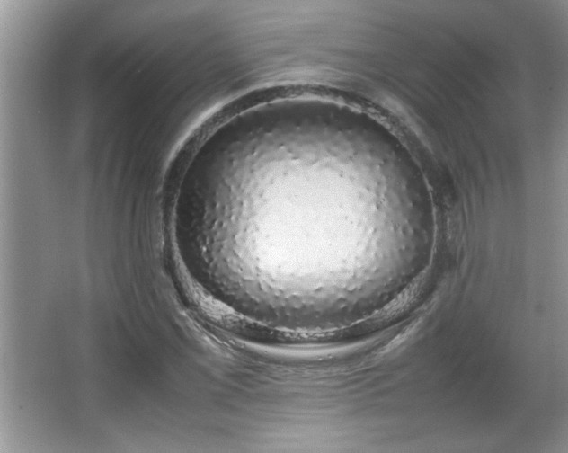 X0000067871069200604131230