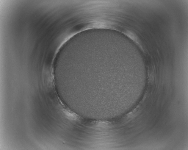 X0000067871070200604131230