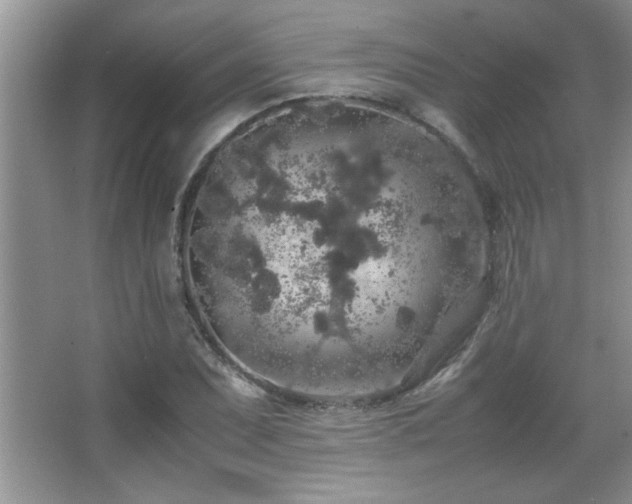 X0000067871071200604131230