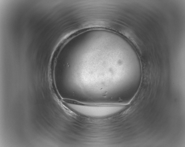 X0000067871072200604131230