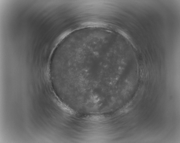 X0000067871074200604131230