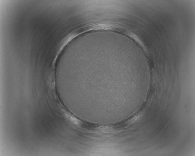 X0000067871075200604131230