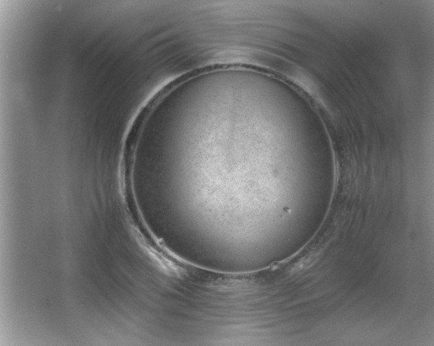 X0000067871076200604131230