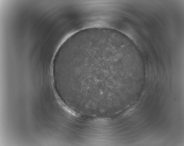 X0000067871078200604131230