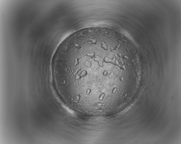 X0000067871079200604131230