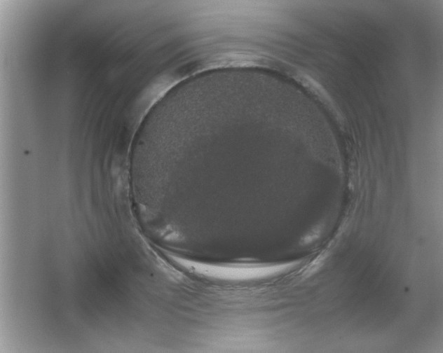 X0000067871081200604131230