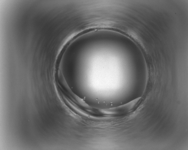 X0000067871085200604131230