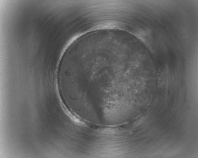 X0000067871086200604131230