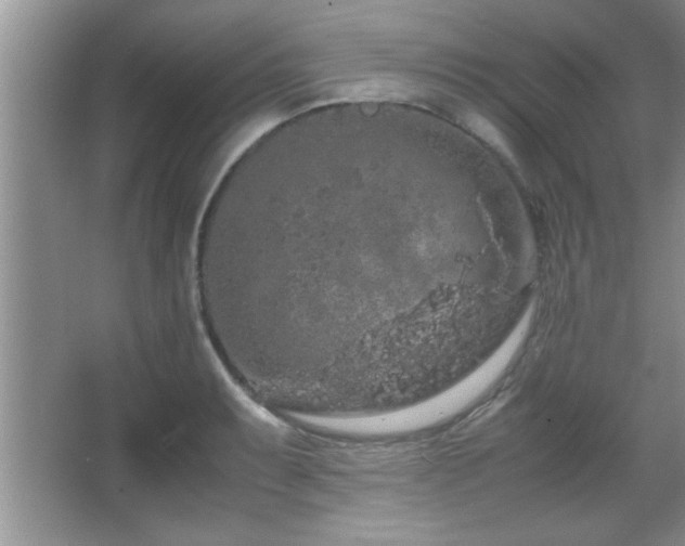 X0000067871087200604131230