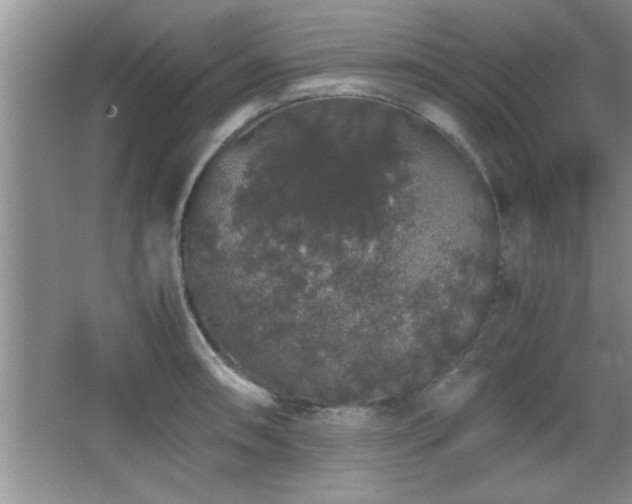 X0000067871090200604131230