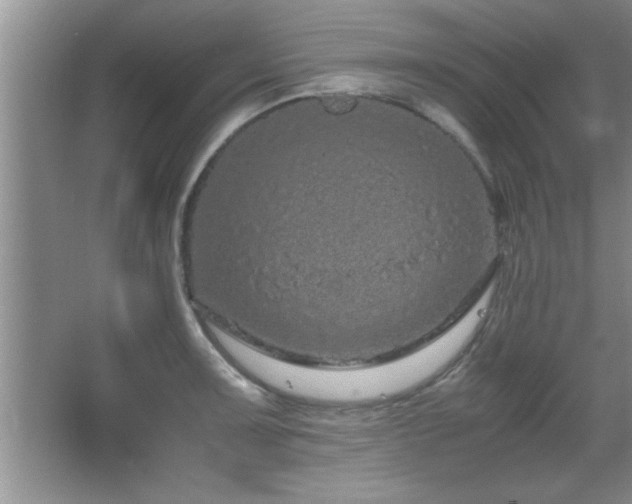 X0000067871091200604131230