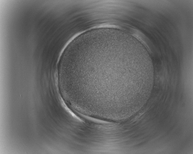 X0000067871092200604131230