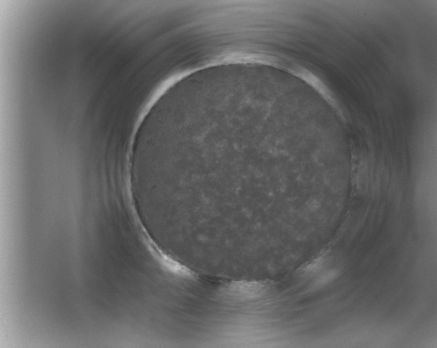 X0000067871094200604131230