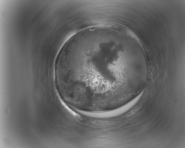 X0000067871095200604131230