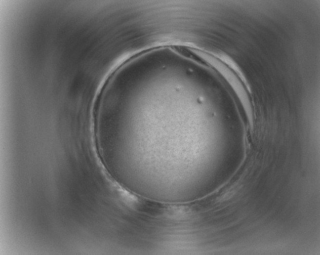 X0000067871096200604131230