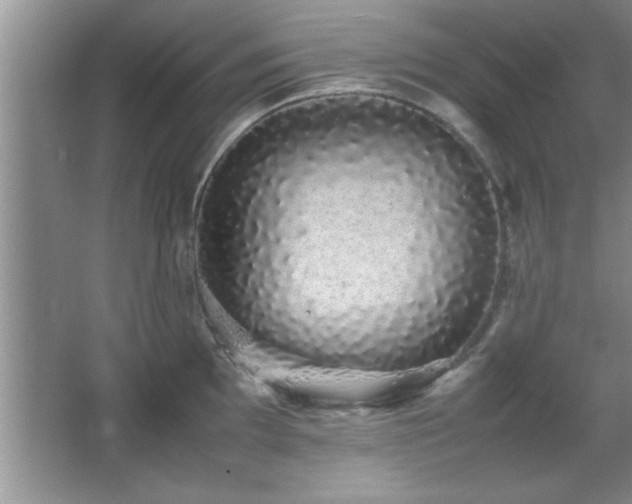 X0000067871097200604131230