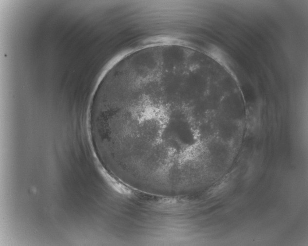 X0000067871098200604131230