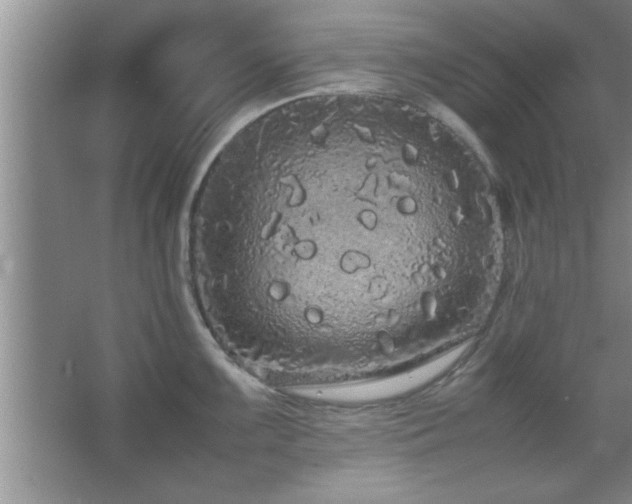 X0000067871099200604131229