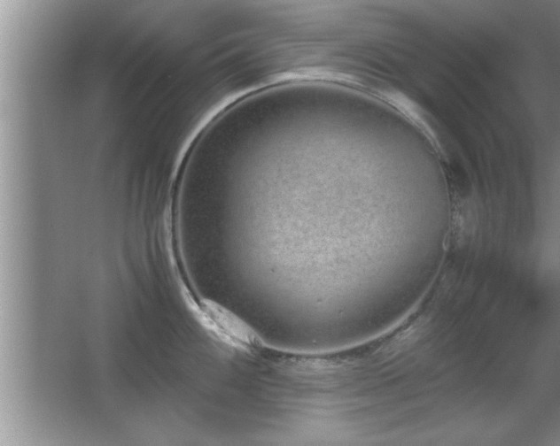 X0000067871100200604131229