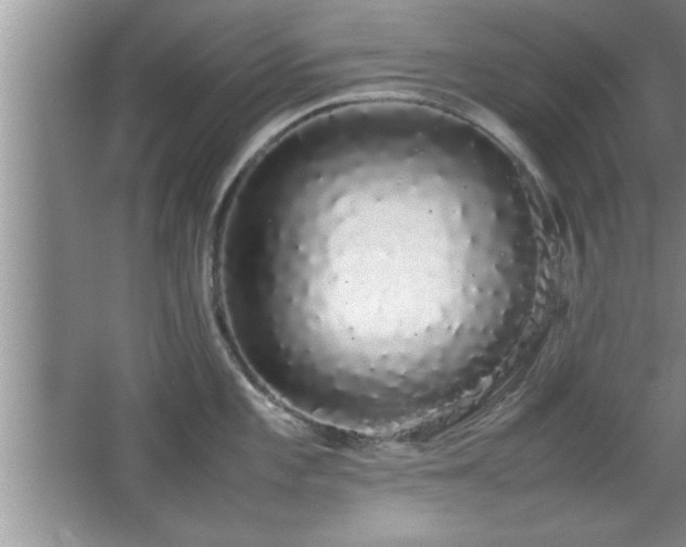 X0000067871101200604131229