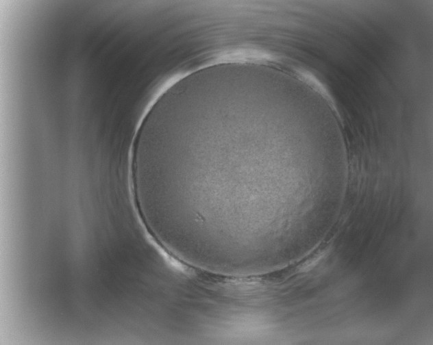 X0000067871103200604131229