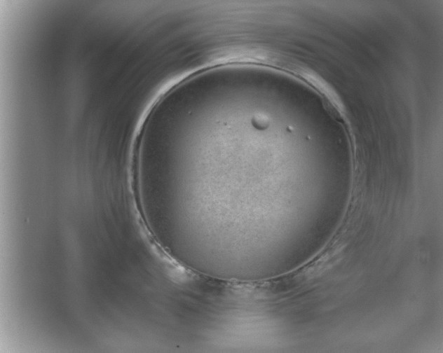 X0000067871104200604131229