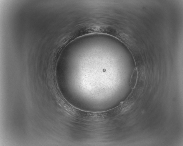 X0000067871105200604131229